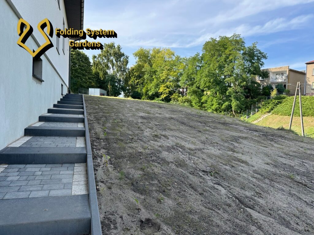 pierwszy wzrost 3 duży